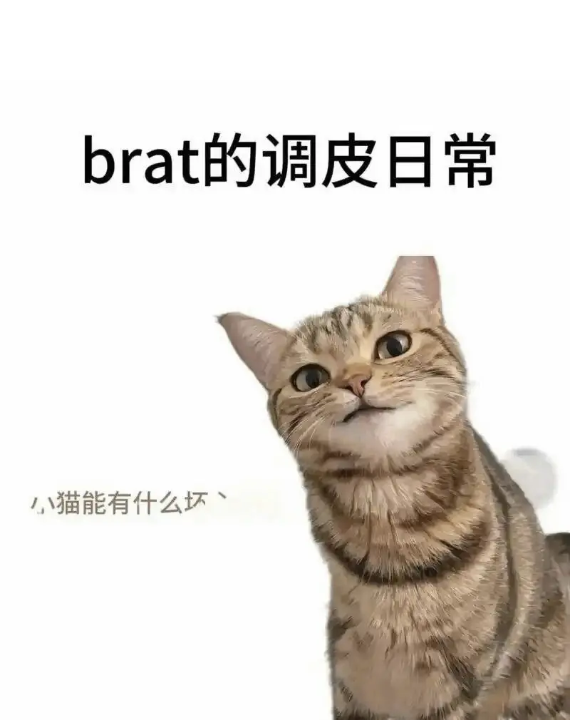 西檬之家-字母圈的践踏癖是什么？潜在意义与实践指南