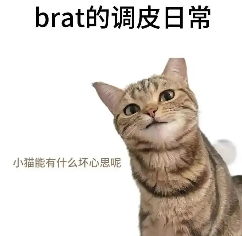 西檬之家-字母圈的践踏癖是什么？