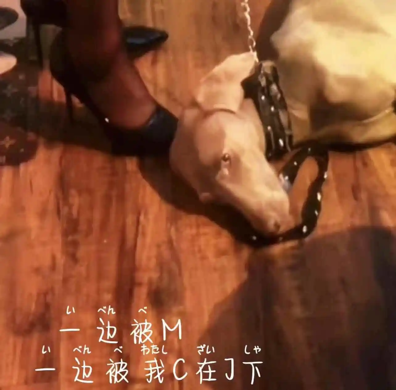 【西檬之家】字母圈管教指南：新人必读的安全与边界