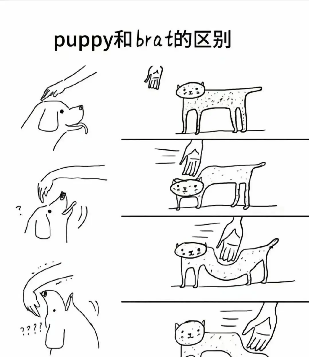 西檬之家-字母圈的BDSM核心术语解析