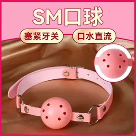 女王：实用指南